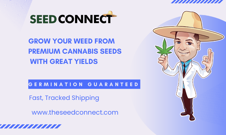 Seed Connect LLC Affiliate Program